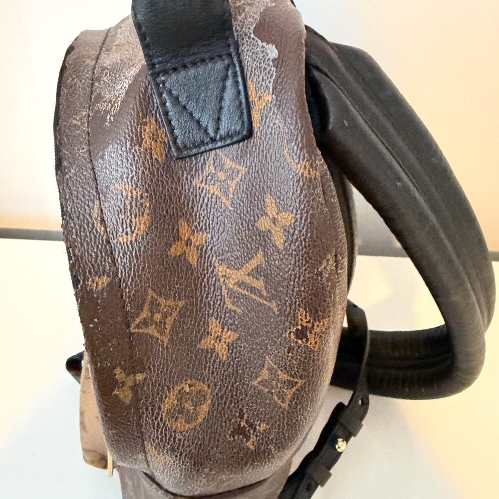 Louis Vuitton Monogram Pm Backpack - image 6